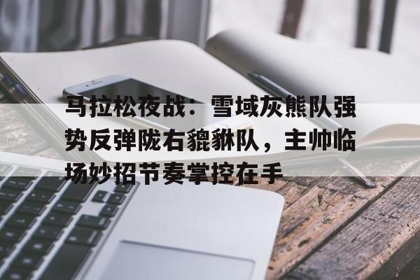 马拉松夜战：雪域灰熊队强势反弹陇右貔貅队，主帅临场妙招节奏掌控在手的简单介绍
